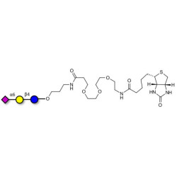 2,6'-Sialyllactose (6'-SL) linked to biotin (Linker-BT C)