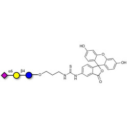 2,6'-Sialyllactose (6'-SL) linked to fluorescein (Linker-FLUO A)