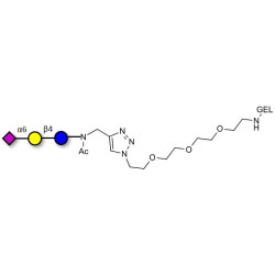 2,6'-Sialyllactose (6'-SL) grafted on gel for affinity chromatography (Linker-GEL A)