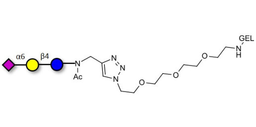 2,6'-Sialyllactose (6'-SL) grafted on gel for affinity chromatography (Linker-GEL A) - 6'-SL ; N-Acetylneuramin-lactose