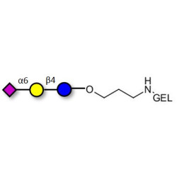 2,6'-Sialyllactose (6'-SL) grafted on gel for affinity chromatography (Linker-GEL B)