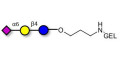 2,6'-Sialyllactose (6'-SL) grafted on gel for affinity chromatography (Linker-GEL B) - 6'-SL ; N-Acetylneuramin-lactose