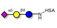 2,6'-Sialyllactose (6'-SL)...