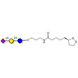 2,6'-Sialyllactose (6'-SL) with cyclic di-thiol (Linker-LIPO A)