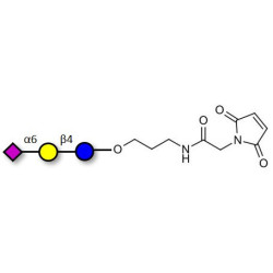 2,6'-Sialyllactose (6'-SL) linked to maleimide (Linker-MAL A)