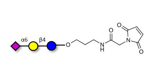 2,6'-Sialyllactose (6'-SL) linked to maleimide (Linker-MAL A) - 6'-SL ; N-Acetylneuramin-lactose