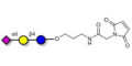 2,6'-Sialyllactose (6'-SL) linked to maleimide (Linker-MAL A) - 6'-SL ; N-Acetylneuramin-lactose