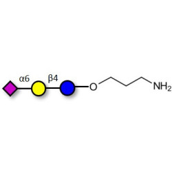 2,6'-Sialyllactose (6'-SL) with free terminal amine (Linker-NH2 A)