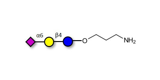 2,6'-Sialyllactose (6'-SL) with free terminal amine (Linker-NH2 A) - 6'-SL ; N-Acetylneuramin-lactose