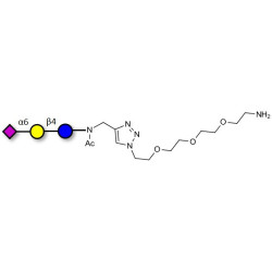 2,6'-Sialyllactose (6'-SL) with free terminal amine (Linker-NH2 B)