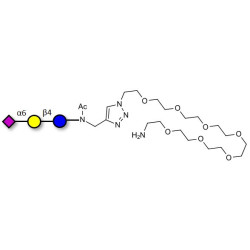 2,6'-Sialyllactose (6'-SL) with free terminal amine (Linker-NH2 C)