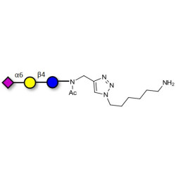 2,6'-Sialyllactose (6'-SL) with free terminal amine (Linker-NH2 D)