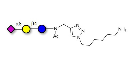 2,6'-Sialyllactose (6'-SL) with free terminal amine (Linker-NH2 D) - 6'-SL ; N-Acetylneuramin-lactose