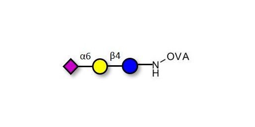 2,6'-Sialyllactose (6'-SL) grafted on OVA - 6'-SL ; N-Acetylneuramin-lactose
