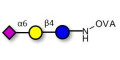 2,6'-Sialyllactose (6'-SL) grafted on OVA - 6'-SL ; N-Acetylneuramin-lactose