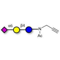 2,6'-Sialyllactose (6'-SL) with terminal alkyne (Linker-CΞCH A)