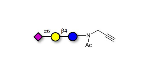 2,6'-Sialyllactose (6'-SL) with terminal alkyne (Linker-CΞCH A) - 6'-SL ; N-Acetylneuramin-lactose; GLY089-NPR