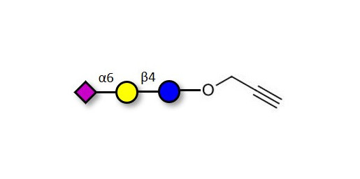 2,6'-Sialyllactose (6'-SL) with terminal alkyne (Linker-CΞCH B) - 6'-SL ; N-Acetylneuramin-lactose