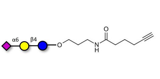 2,6'-Sialyllactose (6'-SL) with terminal alkyne (Linker-CΞCH C) - 6'-SL ; N-Acetylneuramin-lactose