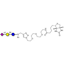 3'-Sialyllactose (3'-SL) / GM3 Ganglioside oligosaccharide linked to biotin (Linker-BT A)