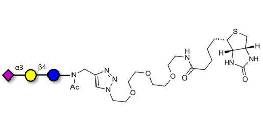 3'-Sialyllactose (3'-SL) / GM3 Ganglioside oligosaccharide linked to biotin (Linker-BT A) - GLY090-NAc-sp3-Bt ; 3'SL; N-Acetylneuraminoyllactose; (2, 3')-a-Sialyllactose; 3'-a-Sialyllactose; a-Neu5Ac-(2-3)-/3-D. Gal-(1-4)-D-Glc; 3'-N-Acetylneuraminyl-D-lactose