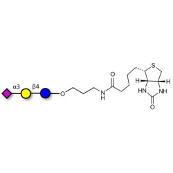 3'-Sialyllactose (3'-SL) / GM3 Ganglioside oligosaccharide linked to biotin (Linker-BT B)