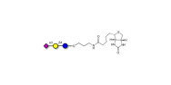3'-Sialyllactose (3'-SL) /...