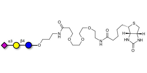 3'-Sialyllactose (3'-SL) / GM3 Ganglioside oligosaccharide linked to biotin (Linker-BT C) - 3'SL; N-Acetylneuraminoyllactose; (2, 3')-a-Sialyllactose; 3'-a-Sialyllactose; a-Neu5Ac-(2-3)-/3-D. Gal-(1-4)-D-Glc; 3'-N-Acetylneuraminyl-D-lactose