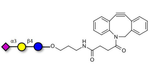 3'-Sialyllactose (3'-SL) / GM3 Ganglioside oligosaccharide with DBCO (Linker-DBCO A) - 3'SL; N-Acetylneuraminoyllactose; (2, 3')-a-Sialyllactose; 3'-a-Sialyllactose; a-Neu5Ac-(2-3)-/3-D. Gal-(1-4)-D-Glc; 3'-N-Acetylneuraminyl-D-lactose