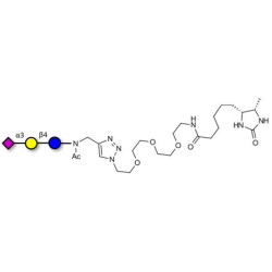 3'-Sialyllactose (3'-SL) / GM3 Ganglioside oligosaccharide linked to desthiobiotin (Linker-DBT-A)