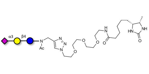 3'-Sialyllactose (3'-SL) / GM3 Ganglioside oligosaccharide linked to desthiobiotin (Linker-DBT-A) - 3'SL; N-Acetylneuraminoyllactose; (2, 3')-a-Sialyllactose; 3'-a-Sialyllactose; a-Neu5Ac-(2-3)-/3-D. Gal-(1-4)-D-Glc; 3'-N-Acetylneuraminyl-D-lactose