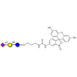 3'-Sialyllactose (3'-SL) / GM3 Ganglioside oligosaccharide linked to fluorescein (Linker-FLUO A)