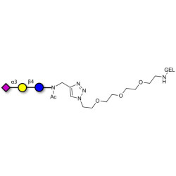 3'-Sialyllactose (3'-SL) / GM3 Ganglioside oligosaccharide grafted on gel for affinity chromatography (Linker-GEL A)