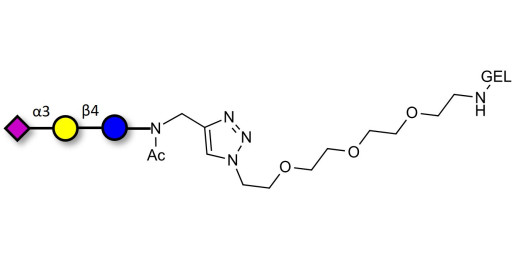 3'-Sialyllactose (3'-SL) / GM3 Ganglioside oligosaccharide grafted on gel for affinity chromatography (Linker-GEL A) - GLY090-GEL