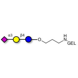 3'-Sialyllactose (3'-SL) / GM3 Ganglioside oligosaccharide grafted on gel for affinity chromatography (Linker-GEL B)