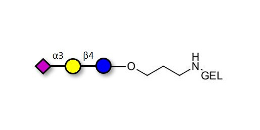 3'-Sialyllactose (3'-SL) / GM3 Ganglioside oligosaccharide grafted on gel for affinity chromatography (Linker-GEL B) - 3'SL; N-Acetylneuraminoyllactose; (2, 3')-a-Sialyllactose; 3'-a-Sialyllactose; a-Neu5Ac-(2-3)-/3-D. Gal-(1-4)-D-Glc; 3'-N-Acetylneuraminyl-D-lactose
