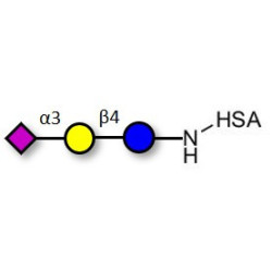 3'-Sialyllactose (3'-SL) / GM3 Ganglioside oligosaccharide grafted on HSA
