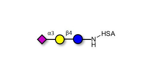3'-Sialyllactose (3'-SL) / GM3 Ganglioside oligosaccharide grafted on HSA - 3'SL; N-Acetylneuraminoyllactose; (2, 3')-a-Sialyllactose; 3'-a-Sialyllactose; a-Neu5Ac-(2-3)-/3-D. Gal-(1-4)-D-Glc; 3'-N-Acetylneuraminyl-D-lactose