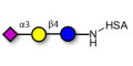 3'-Sialyllactose (3'-SL) / GM3 Ganglioside oligosaccharide grafted on HSA - 3'SL; N-Acetylneuraminoyllactose; (2, 3')-a-Sialyllactose; 3'-a-Sialyllactose; a-Neu5Ac-(2-3)-/3-D. Gal-(1-4)-D-Glc; 3'-N-Acetylneuraminyl-D-lactose