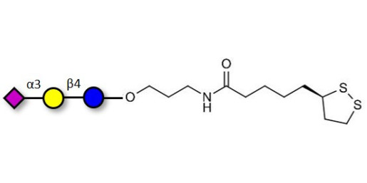 3'-Sialyllactose (3'-SL) / GM3 Ganglioside oligosaccharide with cyclic di-thiol (Linker-LIPO A) - 3'SL; N-Acetylneuraminoyllactose; (2, 3')-a-Sialyllactose; 3'-a-Sialyllactose; a-Neu5Ac-(2-3)-/3-D. Gal-(1-4)-D-Glc; 3'-N-Acetylneuraminyl-D-lactose