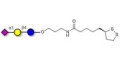 3'-Sialyllactose (3'-SL) / GM3 Ganglioside oligosaccharide with cyclic di-thiol (Linker-LIPO A) - 3'SL; N-Acetylneuraminoyllactose; (2, 3')-a-Sialyllactose; 3'-a-Sialyllactose; a-Neu5Ac-(2-3)-/3-D. Gal-(1-4)-D-Glc; 3'-N-Acetylneuraminyl-D-lactose