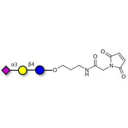 3'-Sialyllactose (3'-SL) / GM3 Ganglioside oligosaccharide linked to maleimide (Linker-MAL A)