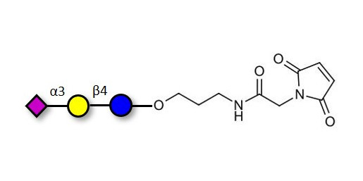 3'-Sialyllactose (3'-SL) / GM3 Ganglioside oligosaccharide linked to maleimide (Linker-MAL A) - 3'SL; N-Acetylneuraminoyllactose; (2, 3')-a-Sialyllactose; 3'-a-Sialyllactose; a-Neu5Ac-(2-3)-/3-D. Gal-(1-4)-D-Glc; 3'-N-Acetylneuraminyl-D-lactose