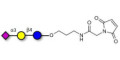 3'-Sialyllactose (3'-SL) / GM3 Ganglioside oligosaccharide linked to maleimide (Linker-MAL A) - 3'SL; N-Acetylneuraminoyllactose; (2, 3')-a-Sialyllactose; 3'-a-Sialyllactose; a-Neu5Ac-(2-3)-/3-D. Gal-(1-4)-D-Glc; 3'-N-Acetylneuraminyl-D-lactose