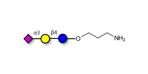 3'-Sialyllactose (3'-SL) / GM3 Ganglioside oligosaccharide with free terminal amine (Linker-NH2 A) - GLY090-AP ; 3'SL; N-Acetylneuraminoyllactose; (2, 3')-a-Sialyllactose; 3'-a-Sialyllactose; a-Neu5Ac-(2-3)-/3-D. Gal-(1-4)-D-Glc; 3'-N-Acetylneuraminyl-D-lactose