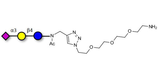 3'-Sialyllactose (3'-SL) / GM3 Ganglioside oligosaccharide with free terminal amine (Linker-NH2 B) - GLY090-NAc-sp1-NH2 ; 3'SL; N-Acetylneuraminoyllactose; (2, 3')-a-Sialyllactose; 3'-a-Sialyllactose; a-Neu5Ac-(2-3)-/3-D. Gal-(1-4)-D-Glc; 3'-N-Acetylneuraminyl-D-lactose