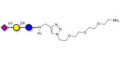 3'-Sialyllactose (3'-SL) / GM3 Ganglioside oligosaccharide with free terminal amine (Linker-NH2 B) - GLY090-NAc-sp1-NH2 ; 3'SL; N-Acetylneuraminoyllactose; (2, 3')-a-Sialyllactose; 3'-a-Sialyllactose; a-Neu5Ac-(2-3)-/3-D. Gal-(1-4)-D-Glc; 3'-N-Acetylneuraminyl-D-lactose