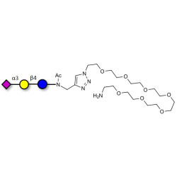 3'-Sialyllactose (3'-SL) / GM3 Ganglioside oligosaccharide with free terminal amine (Linker-NH2 C)
