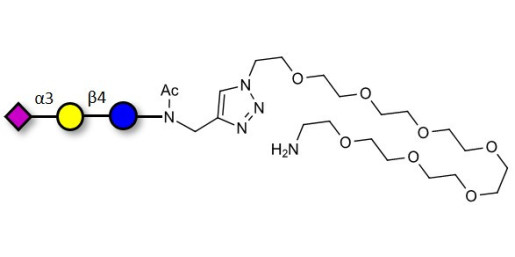 3'-Sialyllactose (3'-SL) / GM3 Ganglioside oligosaccharide with free terminal amine (Linker-NH2 C) - 3'SL; N-Acetylneuraminoyllactose; (2, 3')-a-Sialyllactose; 3'-a-Sialyllactose; a-Neu5Ac-(2-3)-/3-D. Gal-(1-4)-D-Glc; 3'-N-Acetylneuraminyl-D-lactose