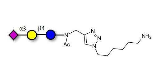 3'-Sialyllactose (3'-SL) / GM3 Ganglioside oligosaccharide with free terminal amine (Linker-NH2 D) - 3'SL; N-Acetylneuraminoyllactose; (2, 3')-a-Sialyllactose; 3'-a-Sialyllactose; a-Neu5Ac-(2-3)-/3-D. Gal-(1-4)-D-Glc; 3'-N-Acetylneuraminyl-D-lactose